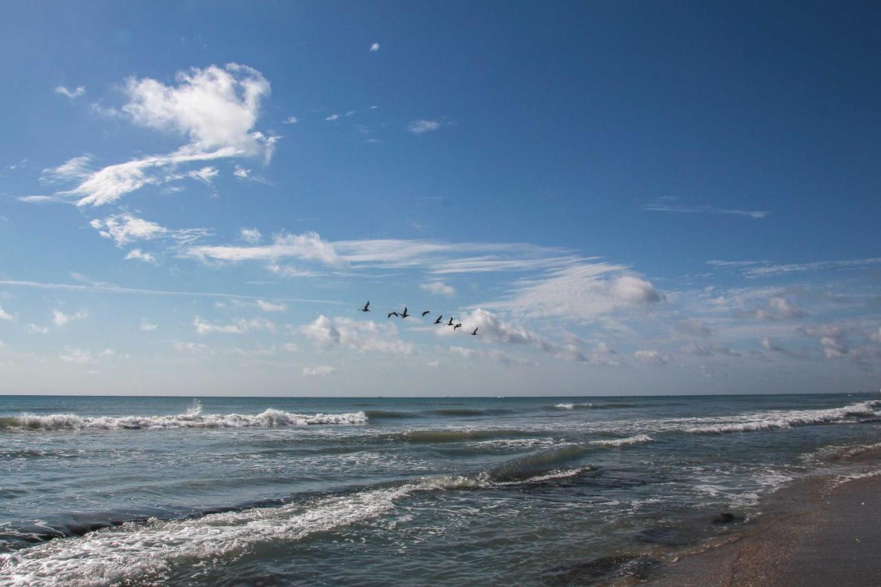 Walk To Shore Satellite Beach Condo With Ocean View Exterior photo